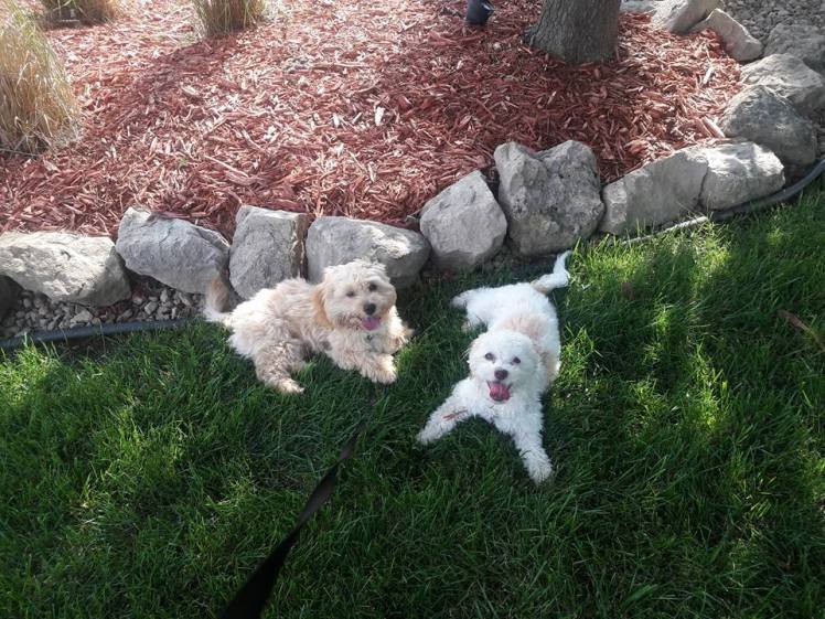 13439116_10208022164165856_1641588030021613383_n