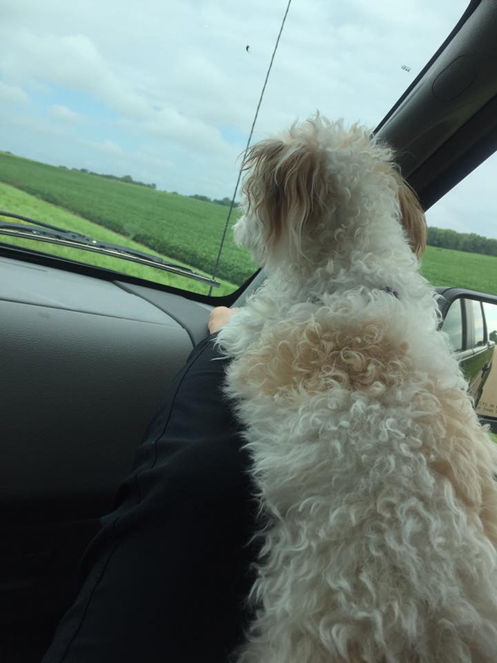 13880193_10207474875365236_6685073737778032932_n